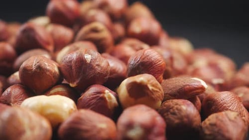 Close Up of Fresh Hazelnuts on Black