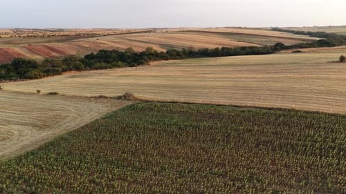 Scenic Farmland and Cultivated Fields Aerial