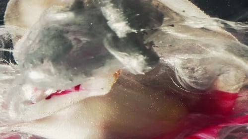 Abstract Flower Floating in Cloudy Water