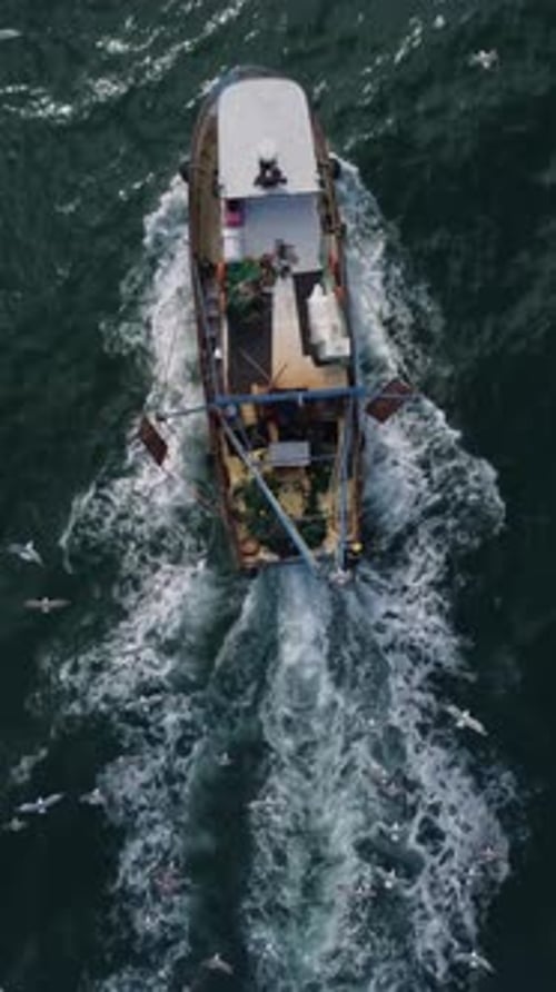Fishing Vessel Boat Floating in the Blue Sea Aerial View From Drone