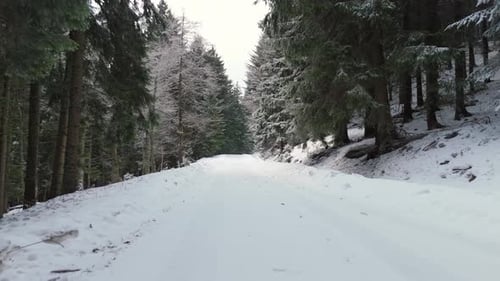 Aerial Low Flight Over Snowy Winter Forest Road