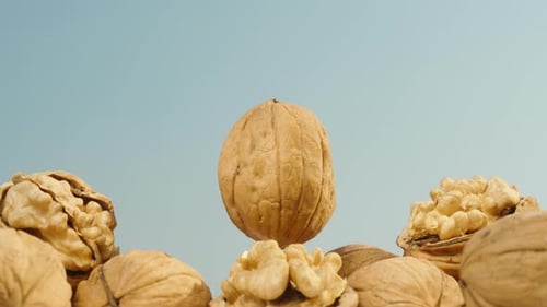Walnuts Close Up on Blue Background