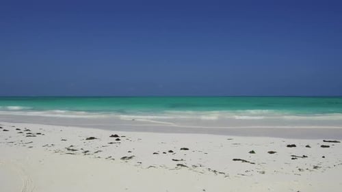 Travel, Tourism, Seascape and Nature Concept - Beach on Shores of Indian