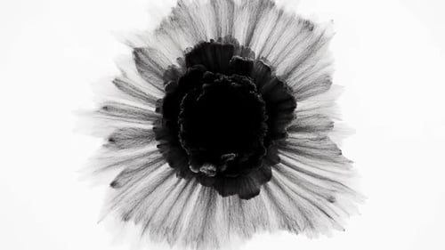 Circular Black Ink Bloom