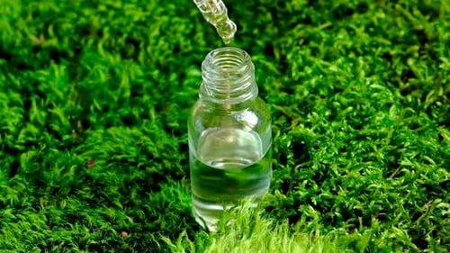 Natural Oil Creation with Dropper and Fresh Flowers