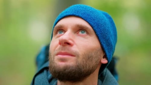 Gelbe Blätter wandern im Wald