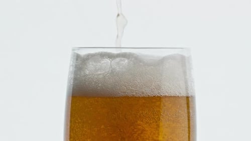 Beer Pouring into Glass on White Background