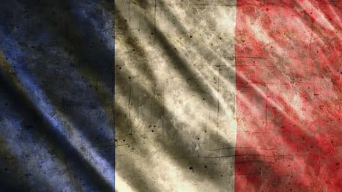 Grungy French Flag Waving Seamless Loop Animation