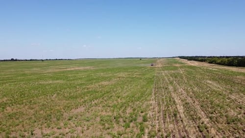 Blue Tractor O.A. Planting Canola On No Till Field