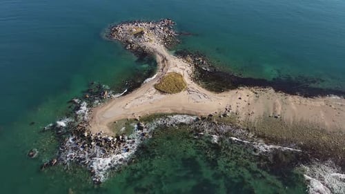 Aerial View of a Small Island in the Ocean with Lush Green Vegetation