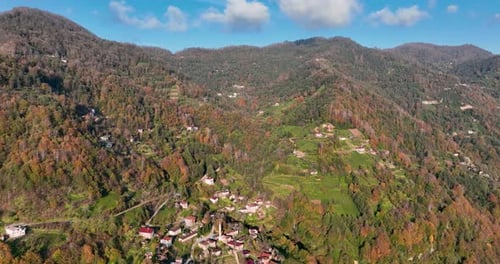 Autumn Village Among Colorful Trees – Aerial Drone Footage