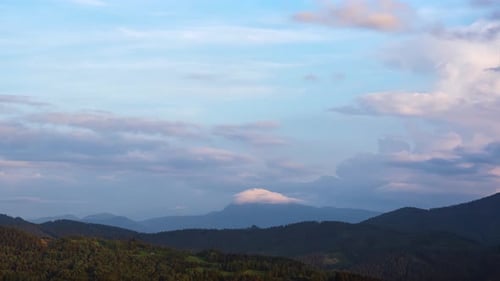 Mountain Forest Nature