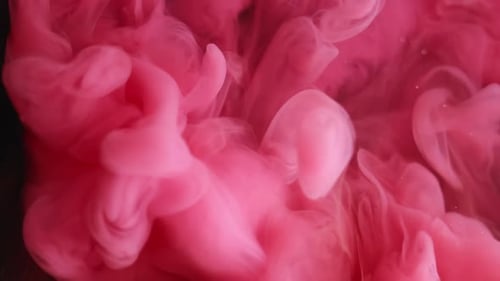 Bright Pink Ink Swirling Abstractly in Water