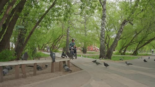 Person In Wheelchair And Caregiver Enjoy Open Green Space Together Autonomous Wheelchair And