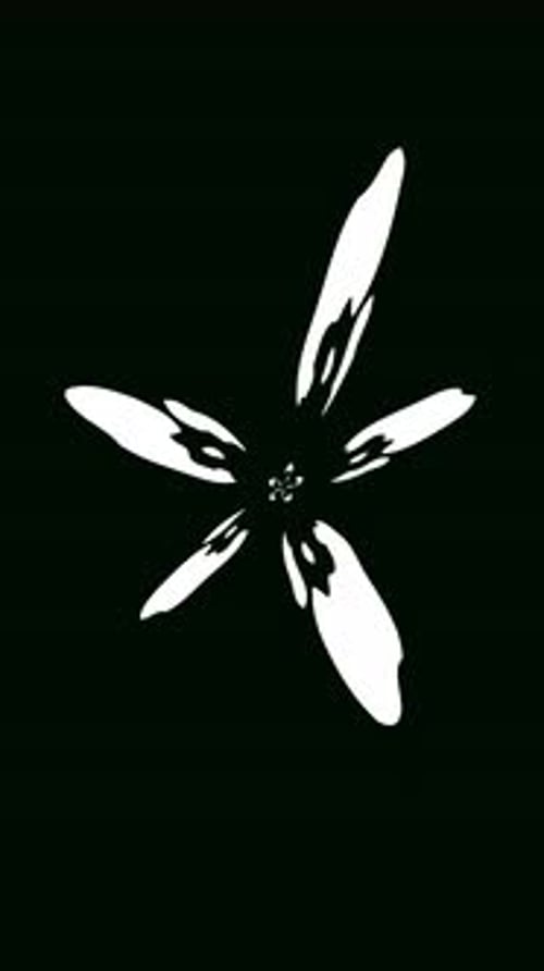 Abstract Fluid Shape Transition Reveals Pack