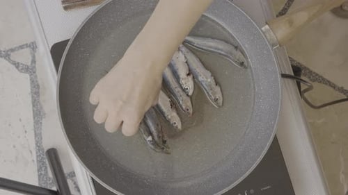 The cook is putting fish for lunch. Sardines from the Adriatic Sea.