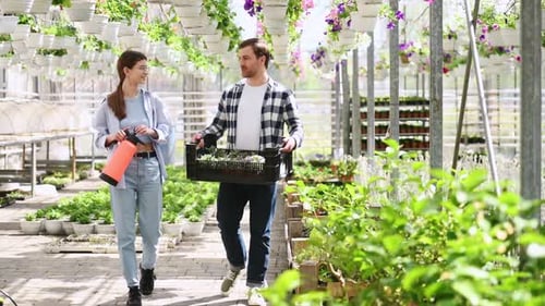 Walking and holding flowers. Man working in garden center. Successful employee is in a bright greenh