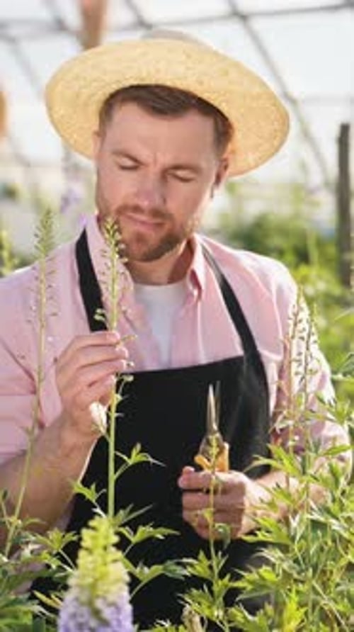 Gardener Tending to Plants in Greenhouse With Clippers