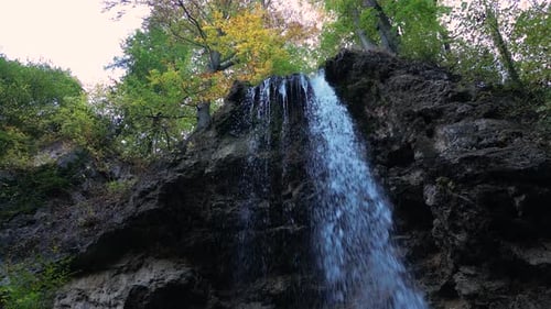 Waterfall in the Forest 41