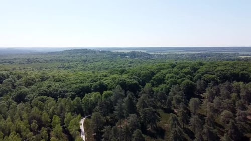 flight over the Rambouillet forest