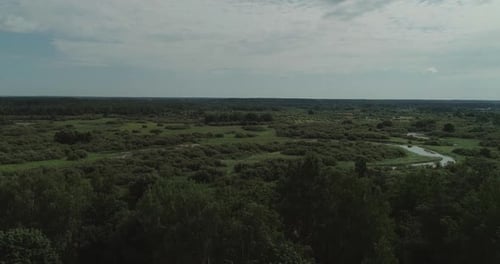 River Valley Beautiful View From the Height of the River Swamps and Green Forests