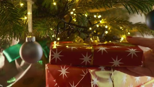 Christmas Presents Stacked Underneath Decorated Tree