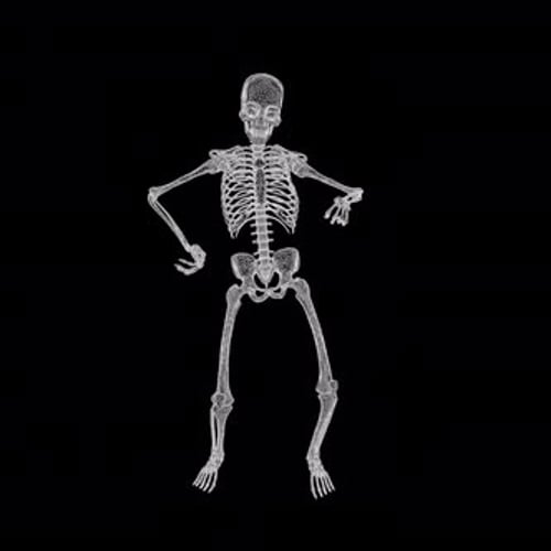 Futuristic Wireframe Skeleton Performing Dance Moves