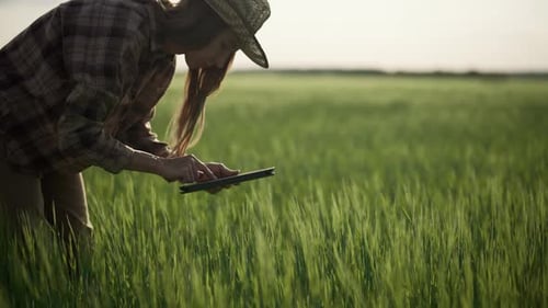 Botanist Agronomist Woman with Tablet Works on Farm Field Checks Plants Growth Collects Data