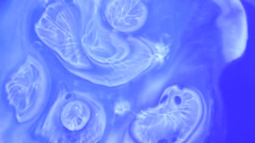 Abstract Blue and White Fluid Background