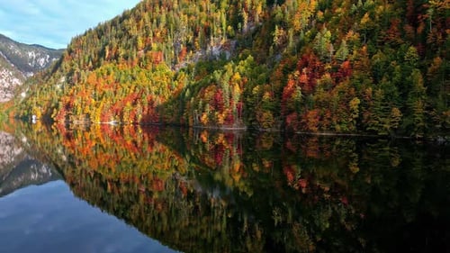 Aerial view of mountainside fall foliage, reflecting from a still lake in the sunny alps