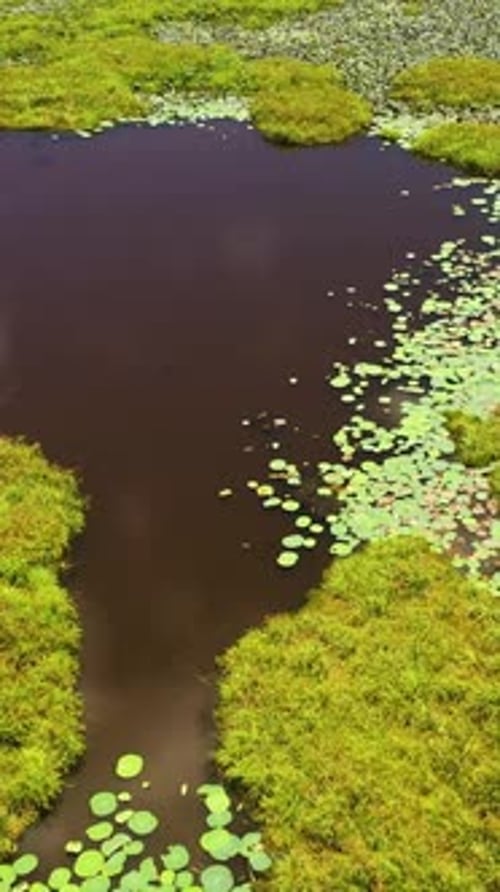 National Park in Sri Lanka