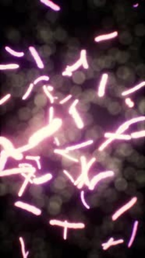 Viruses Under the Microscopic View for Education