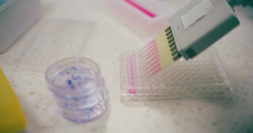 Scientifique travaillant dans un laboratoire médical pour la recherche sur le cancer et la pandémie de Covic 19