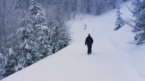 A Tired Tourist Walks Slowly in the Snow Along a Snowy Path in a Dense Forest