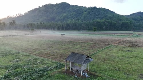 Morning atmosphere in Tempos hamlet