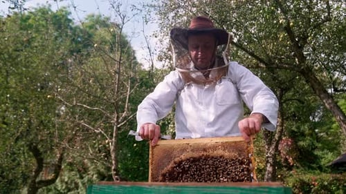 Honey