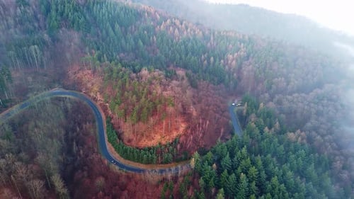 Highway Lies on Slopes of Hills in a Valley with Pine Forests Covered with White Fogs in Sunlight
