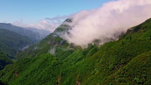 Vivid Green Mountains Slopes Aerial View Scenic Landscape with Dense Forest