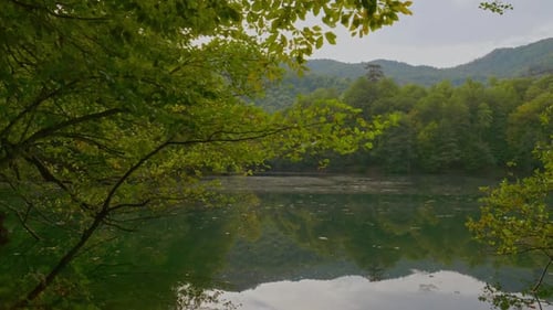 Forest and Lake - 2K