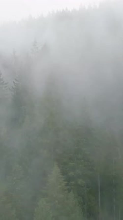 Aerial View of Beautiful Mountain Landscape Fog Rises Over the Mountain Slopes