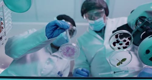 Scientists Conducting Research in a Bright Laboratory