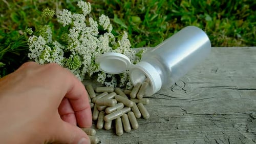 Hand Holding Herbal Supplement Capsule with Fresh Flowers