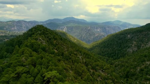 Mountains and Forests in Clouds