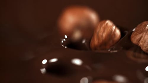 Hazelnuts Splashing Into Dark Chocolate