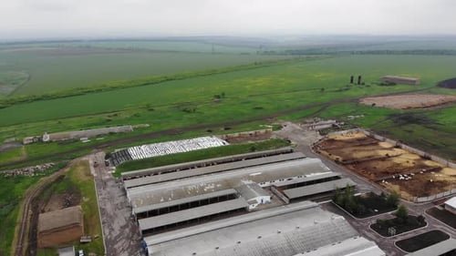 vue aérienne d'une ferme laitière 4K avec des vaches et des chevaux. survol d'une ferme laitière ukrainienne