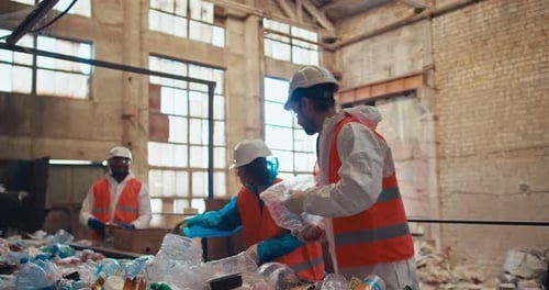 Workers Sort Plastic Bottles at Recycling Plant