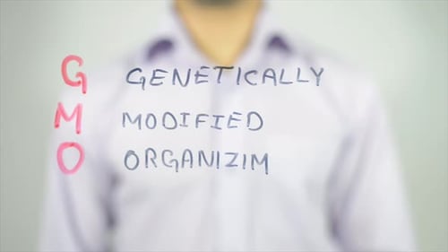 Writing GMO with Genetically Modified Organisim