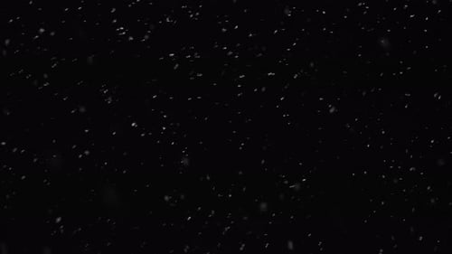 Animated Snow Falling on Dark Background