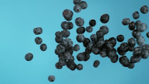 Blueberries Coliding in . with Phantom Flex