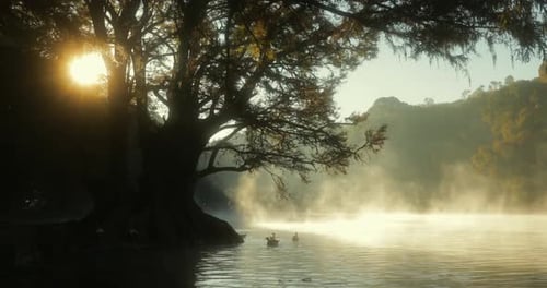 Des canards nagent dans les eaux calmes d'un lac au lever du soleil. L'eau s'évapore et le soleil se reflète